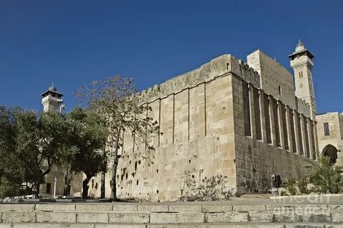 El Halil