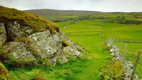 Causeway Sahili ve Glens