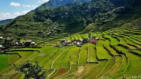 Ifugao