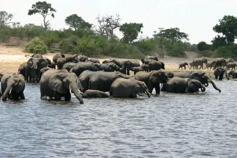 Zambezi Bölgesi