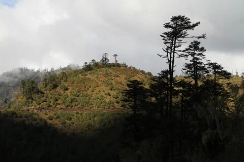 Wangdue Phodrang Bölgesi
