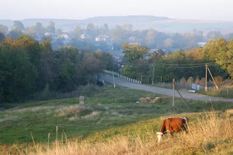 Çernivetska bölgesi