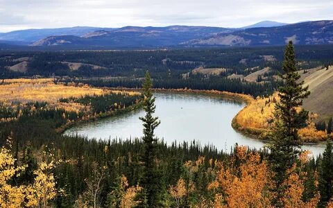 Yukon