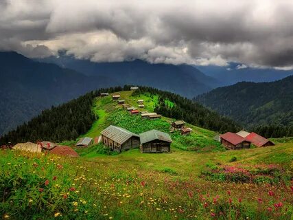 Rize