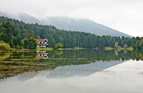 Bolu
