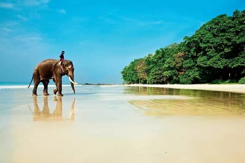 Goa