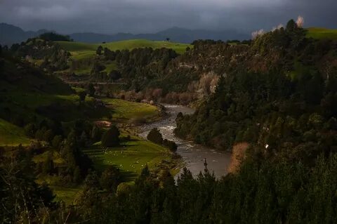 Waikato Region