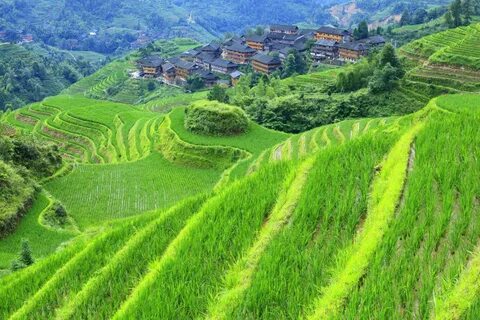 Guangxi Zhuang