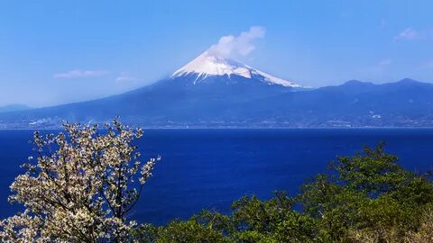 Shizuoka Eyaleti