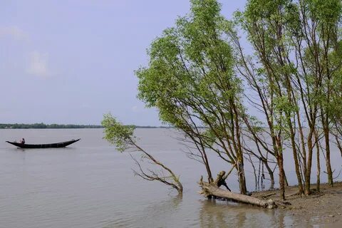 Satkhira Bölgesi