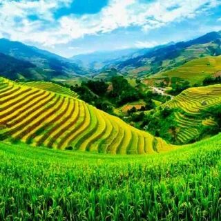 Nam Định
