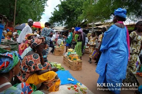 Kolda