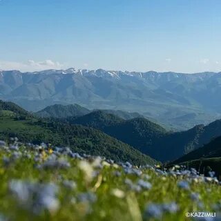 Tovuz İlçesi