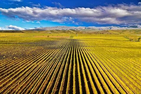 Marlborough Bölgesi