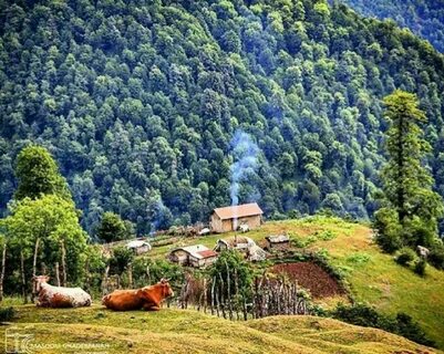 Gilan