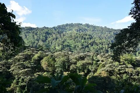 Bundibugyo Bölgesi