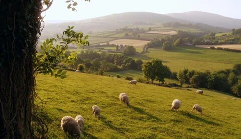 Kildare