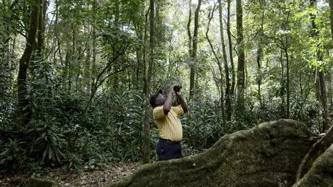 Kakamega