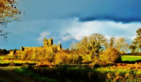 Wexford