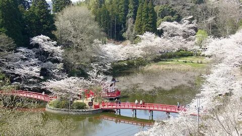 Chiba Eyaleti