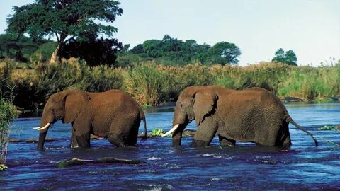 Limpopo