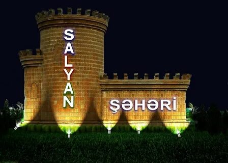 Salyan İlçesi