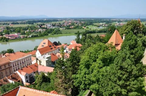 Ptuj Şehir Belediyesi