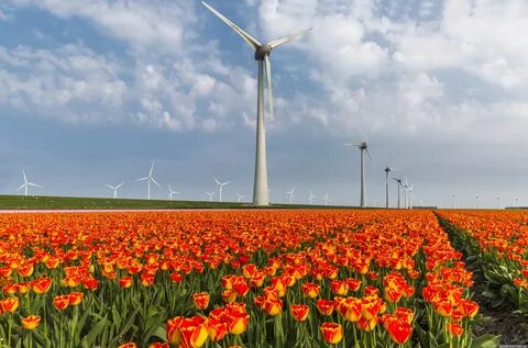 Flevoland
