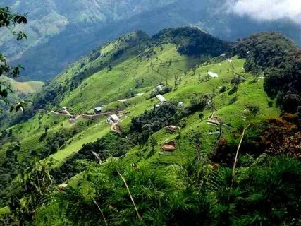 Tolima