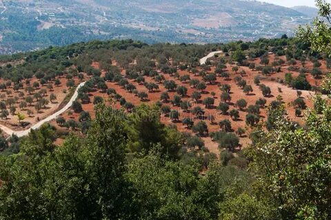 Ajloun