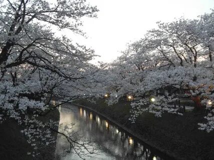 Toyama İli
