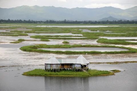 Manipur