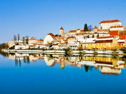 Ptuj Şehir Belediyesi
