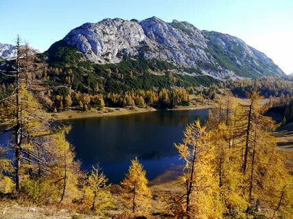 Steiermark