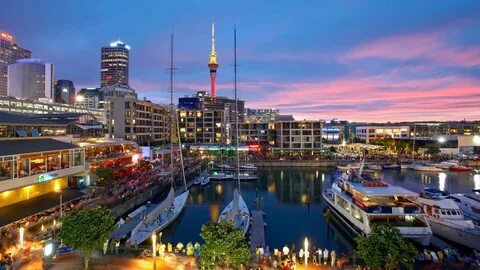Auckland Bölgesi
