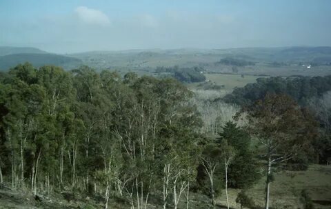 Lavalleja