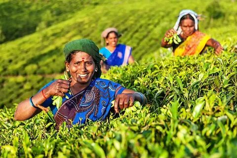 Assam