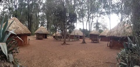 Bomet