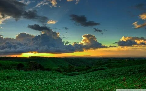 Bukidnon