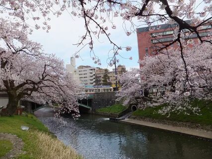 Toyama İli