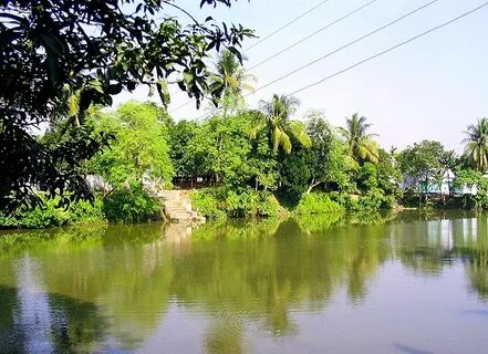 Kushtia Bölgesi