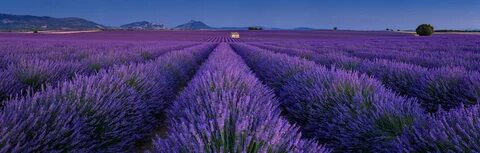Alpes-de-Haute-Provence
