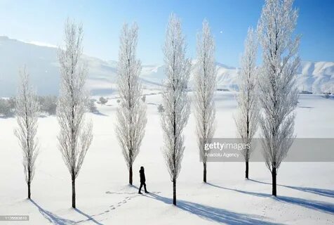 Bitlis