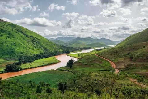 Taraba