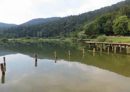 Brezovica Belediyesi