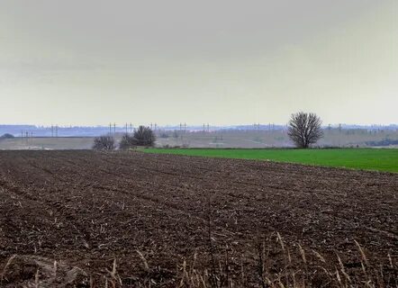 Kievska bölgesi