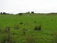 Cookstown Bölge Konseyi