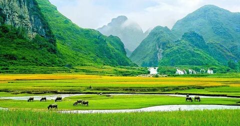 Thừa Thiên-Huế