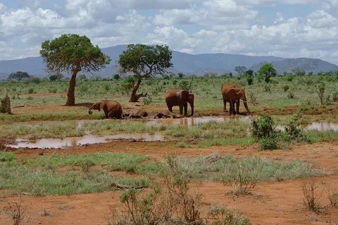 Kitui
