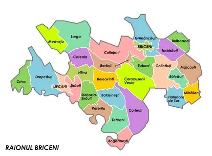 Briceni Bölgesi